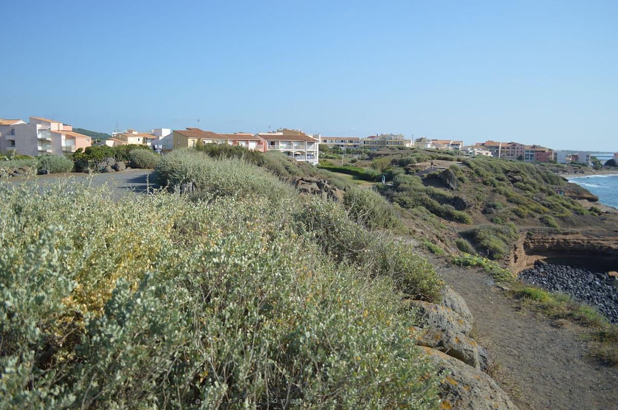 LA STELE DES P.N. AU CAP D AGDE AUX FALAISES DE LA CONQUE (25).JPG